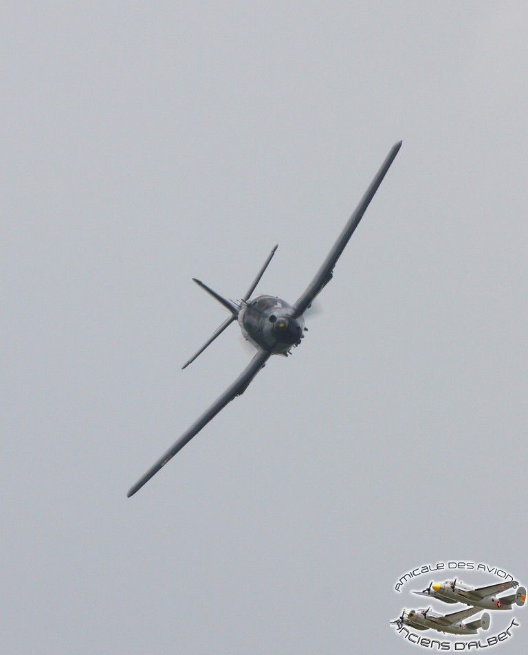 img 7014