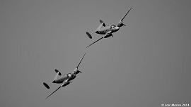 Cliquez ici pour voir l'image (meaux055.jpg)