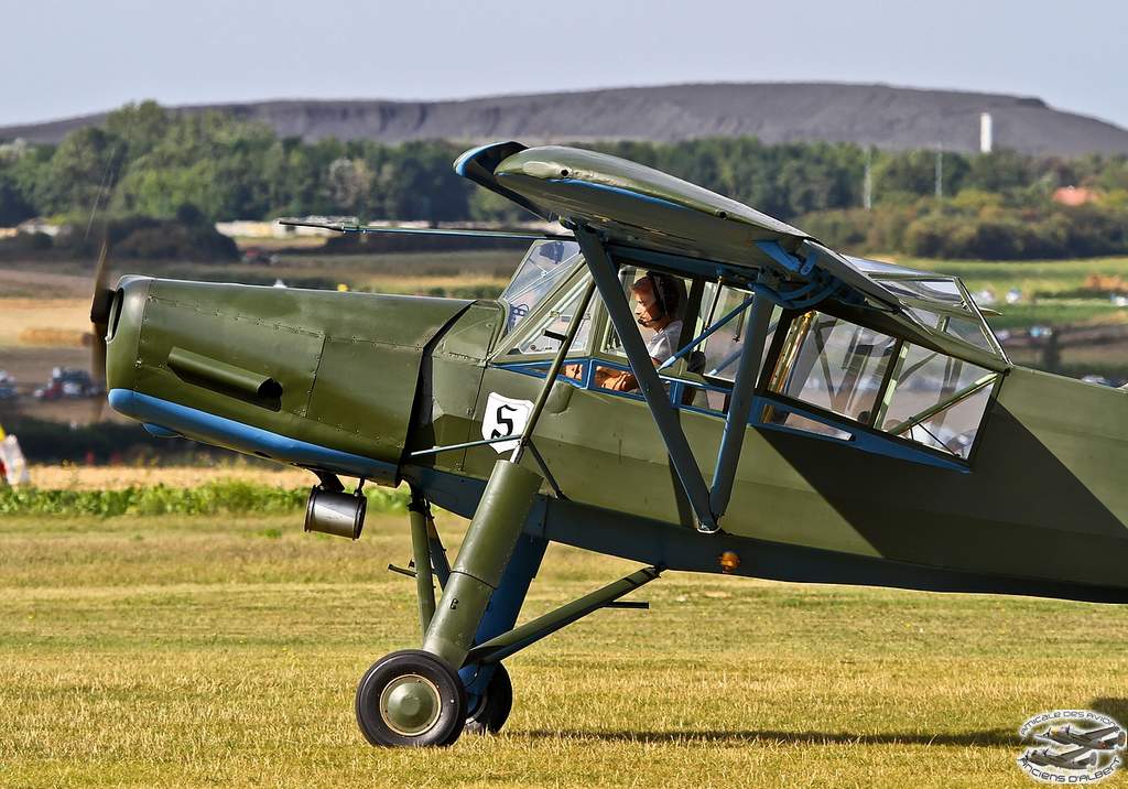 storch19