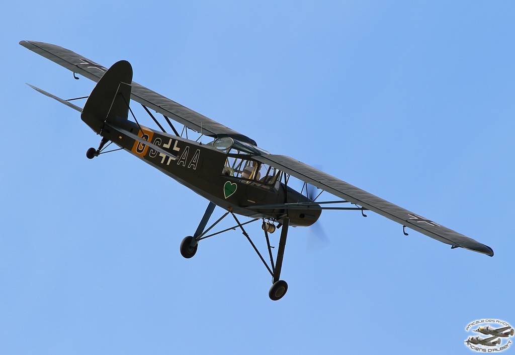 storch21