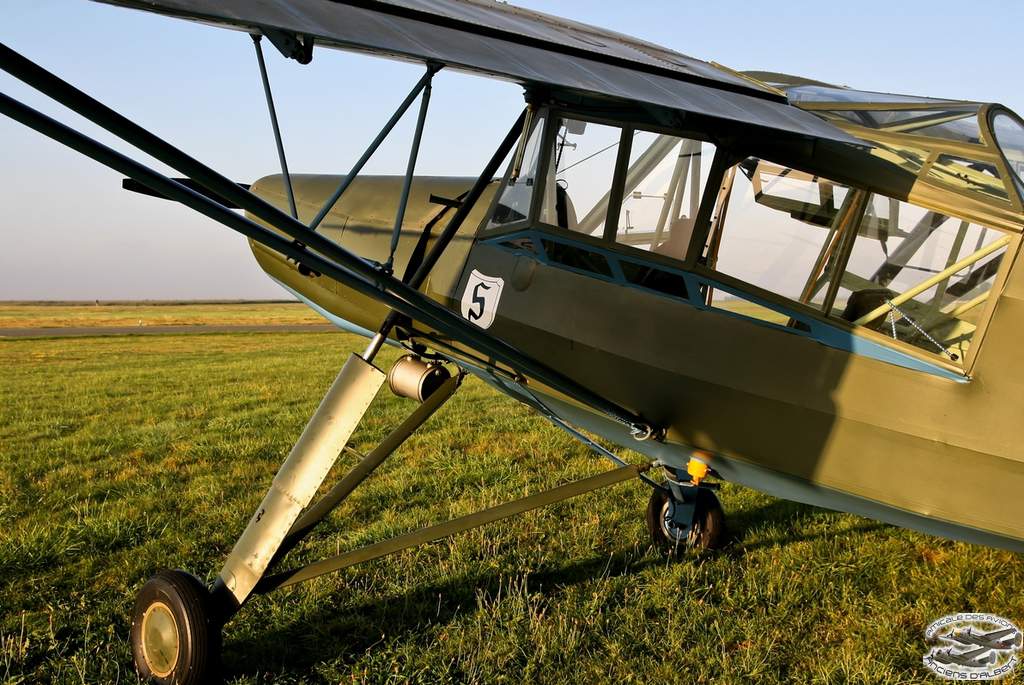 storch26