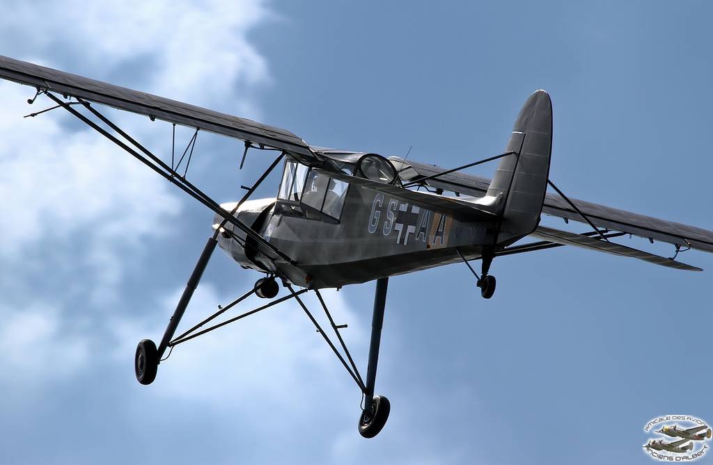 storch28