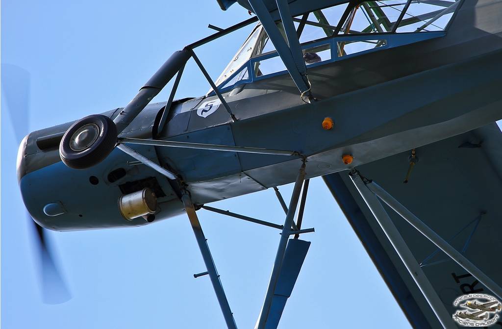 storch30